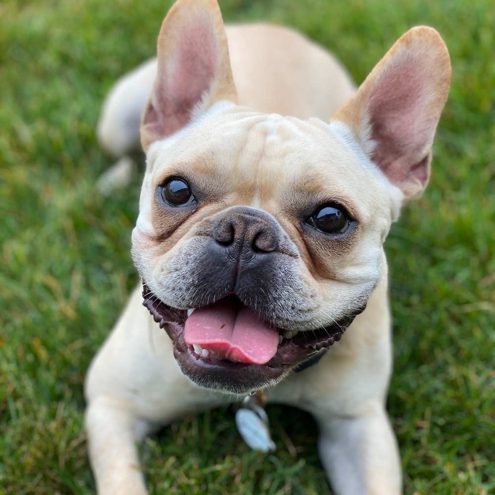 Meet your Posher, Liz